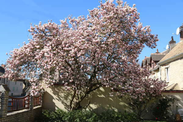 Boury-en-Vexin